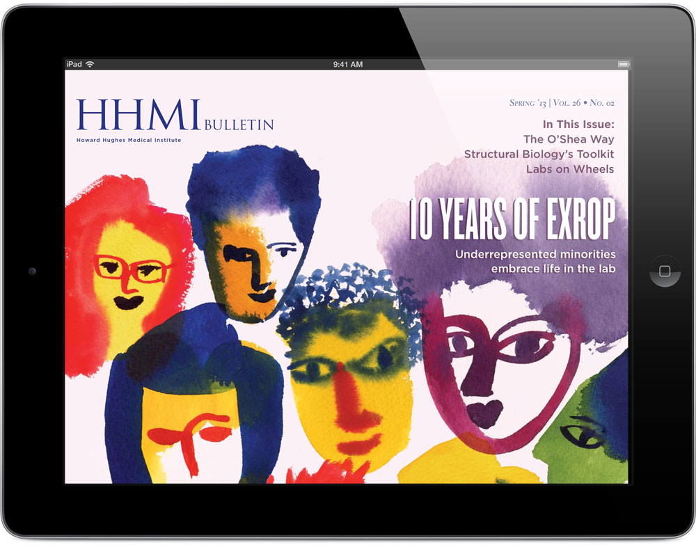 Spring 2013 iPad Available Now!